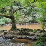 Vestige du moulin éponyme sur la petite Creuse, servant à "fouler", la laine, c'est à dire la battre pour l'assouplir et la dégraisser.