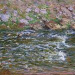 Claude Monet - Torrent de la Petite Creuse à Fresselines