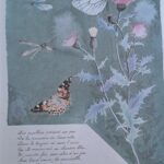 Pierre Buvat - Illustration du poème de Maurice Rollinat "Les papillons"